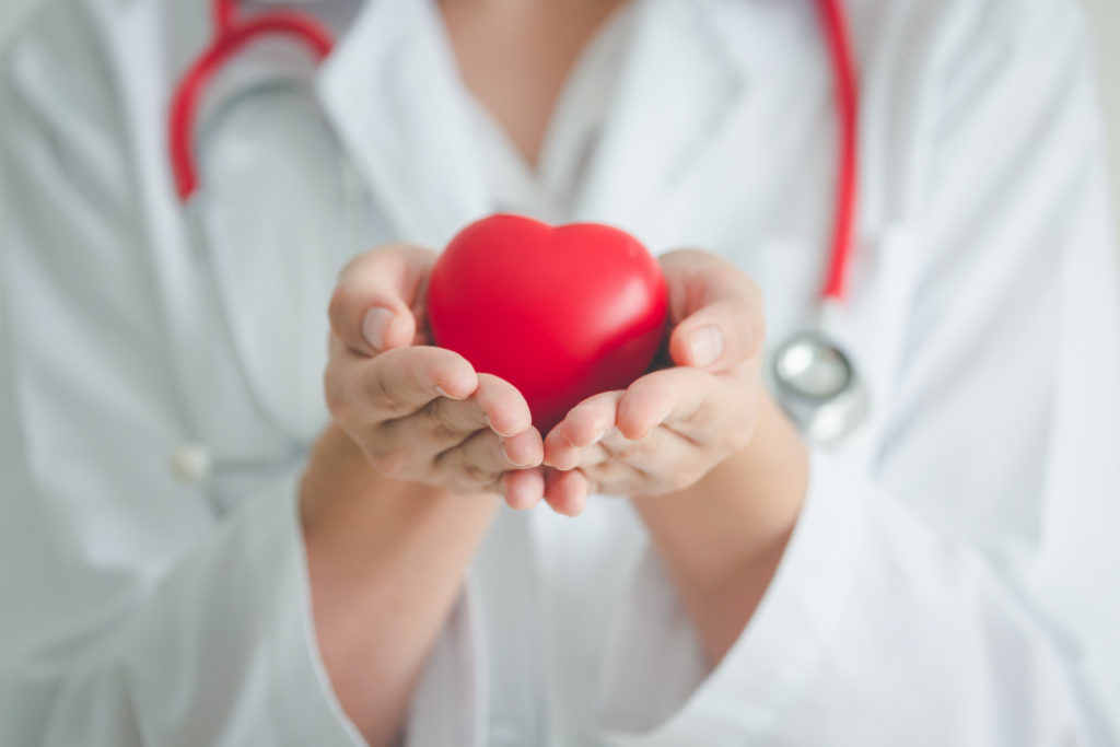 heart in doctors hands